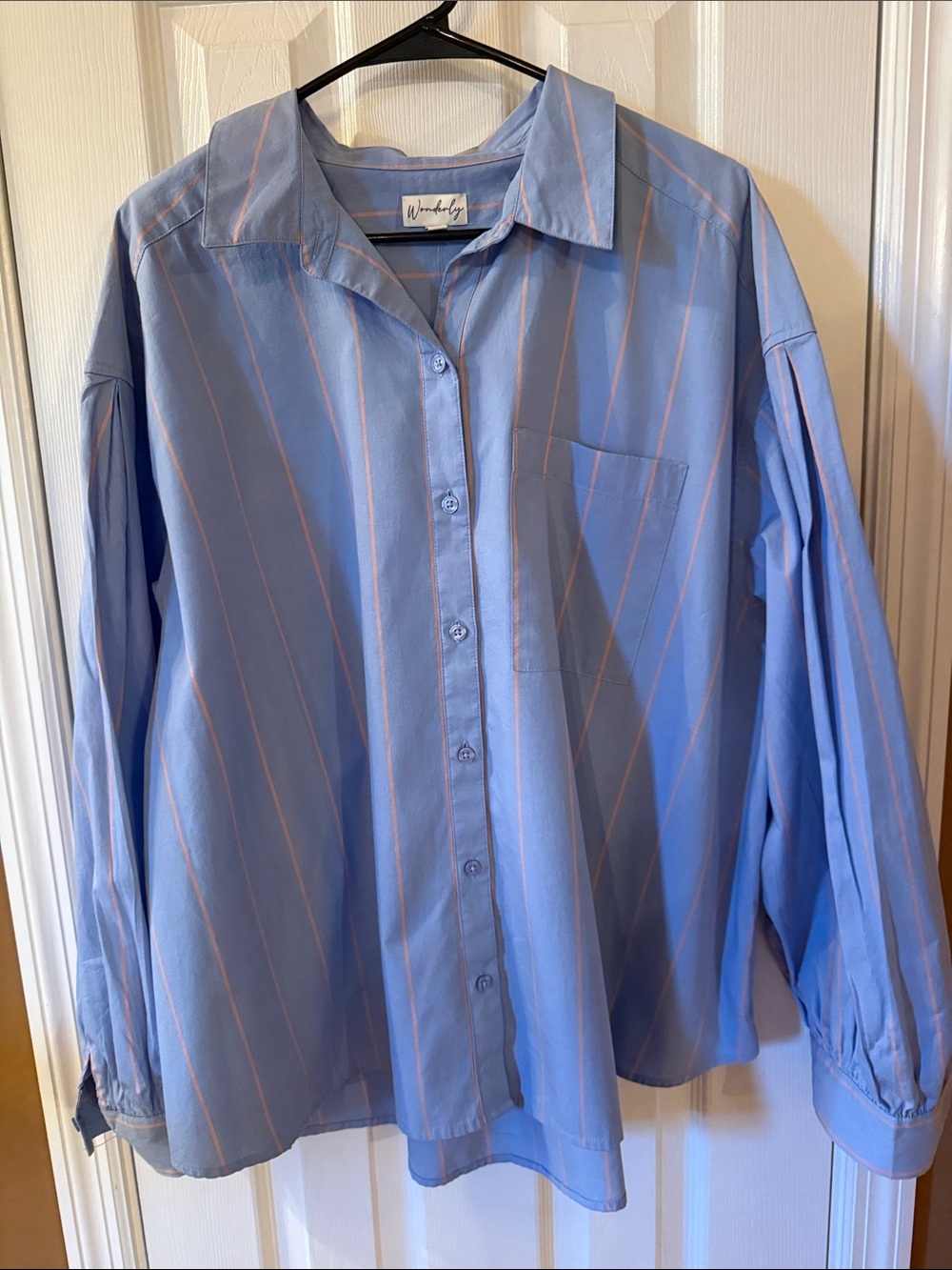 Wonderly Women’s Blue and Pink Pinstripe Button-Up Shirt
